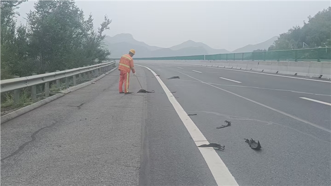 微信图片_2025-07-21_174551_610.jpg 微信图片_2025-07-21_174551_610.jpg
