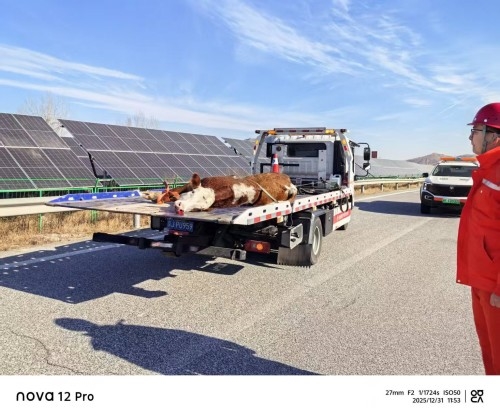 def9c34b764aaf6b6c4e243e842c146e_副本.jpg def9c34b764aaf6b6c4e243e842c146e_副本.jpg