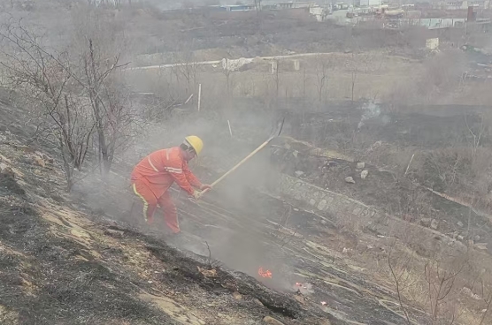 QQ20260323-102030.jpg QQ20260323-102030.jpg